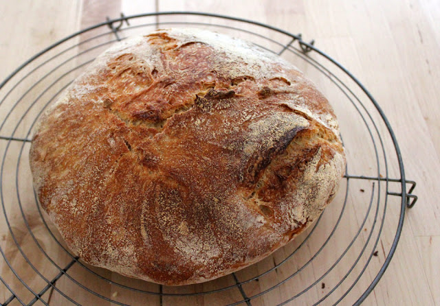 freshly baked no-knead bread - bake kentfreies bread a fresh loaf of bread cools after the Baking from